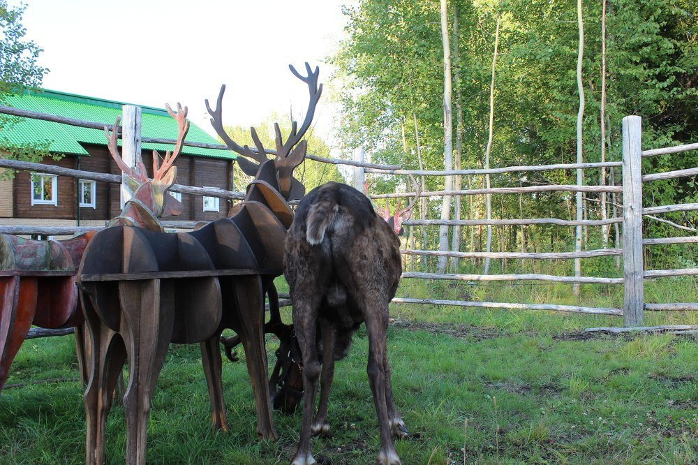 Photograph by Евгения Белоцветова