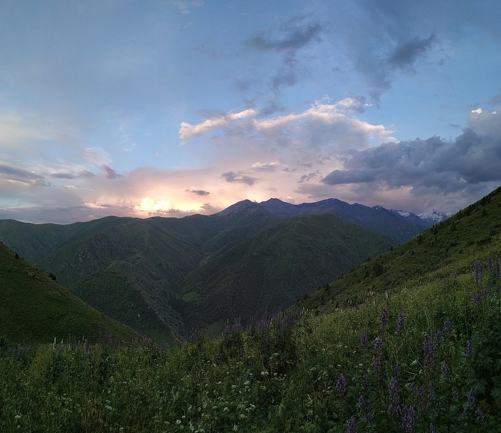 Photograph by Темирлан Асанканов