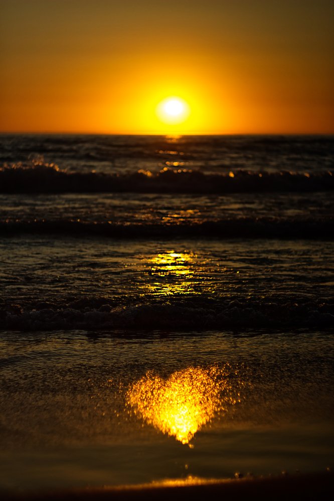 Photograph by Anna Suchcicka