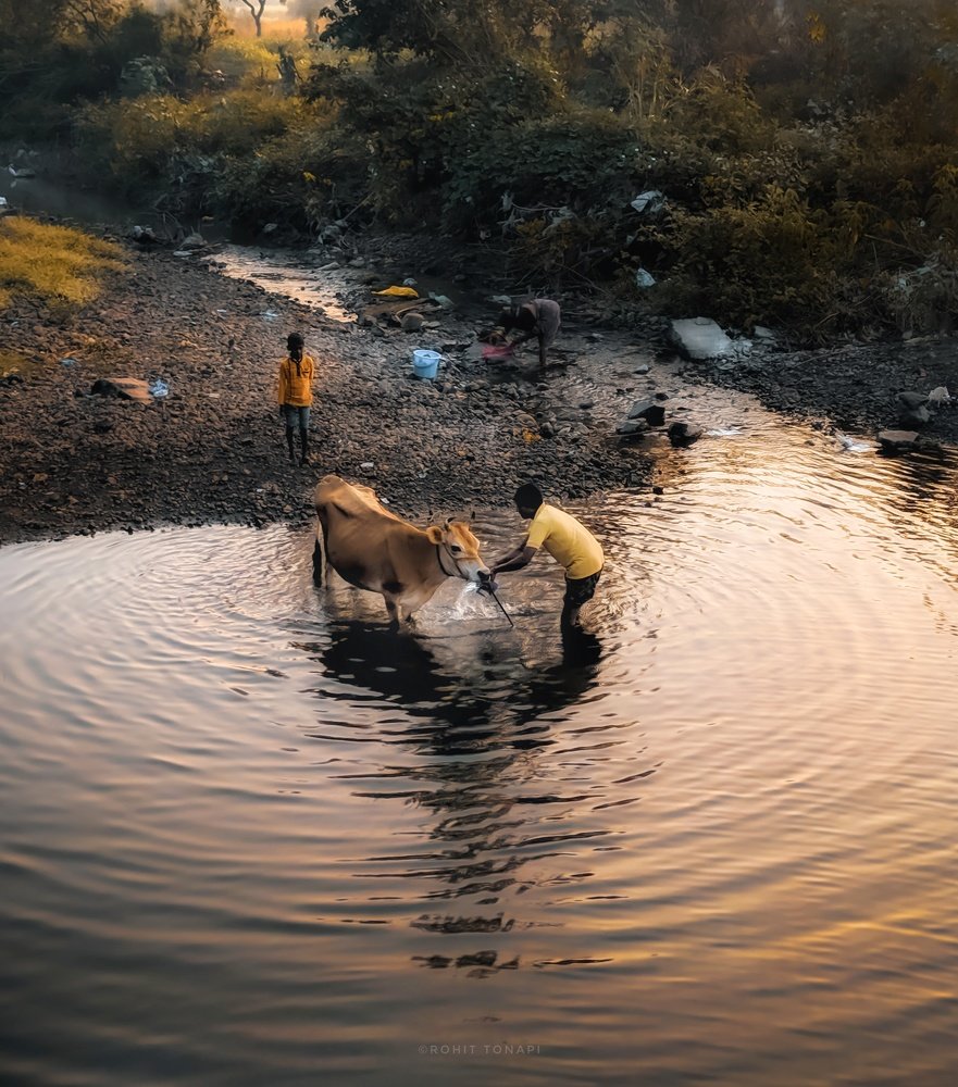 Photograph by Rohit Tonapi