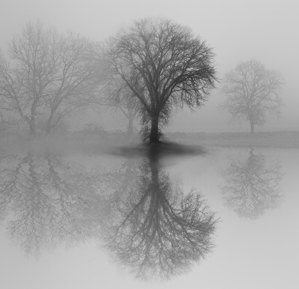 Sadness or melancholy?