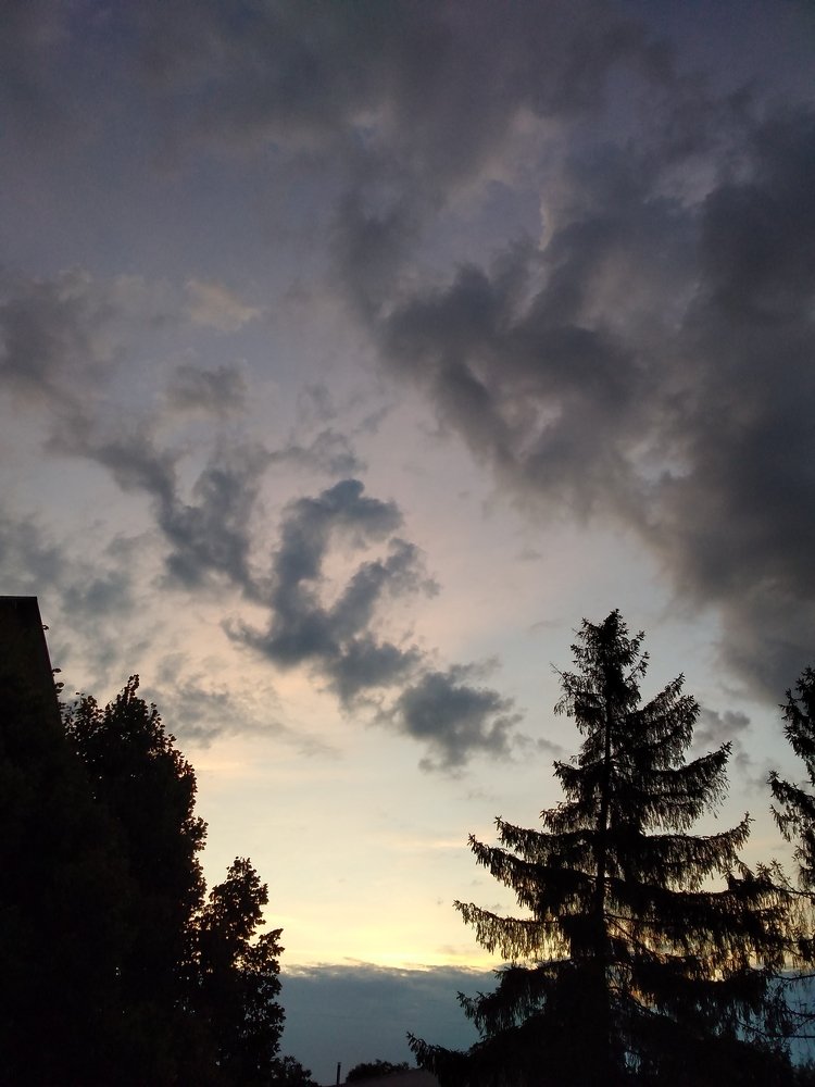 Photo #4152075
