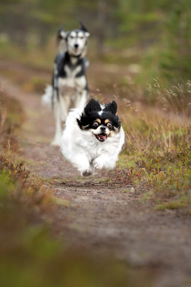 Photograph by Светлана Писарева