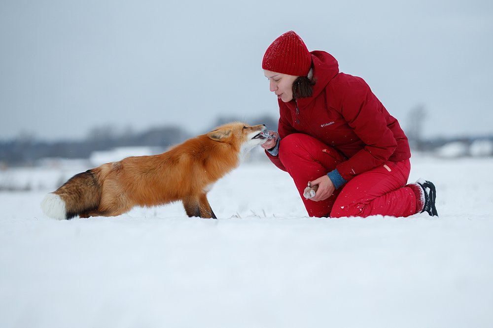 Photograph by Светлана Писарева