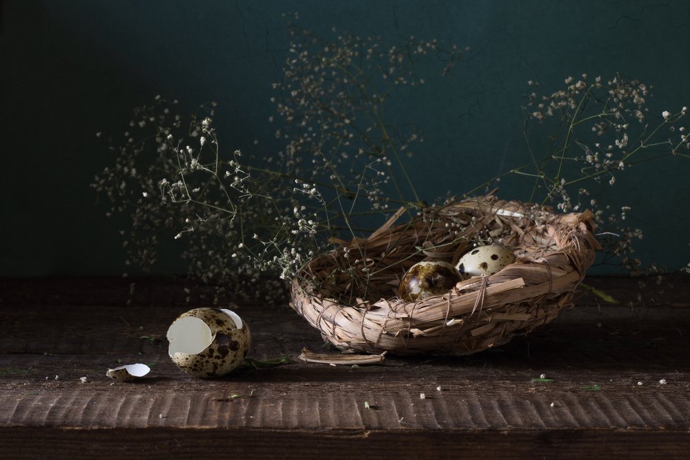 Photograph by Елена Мустафина