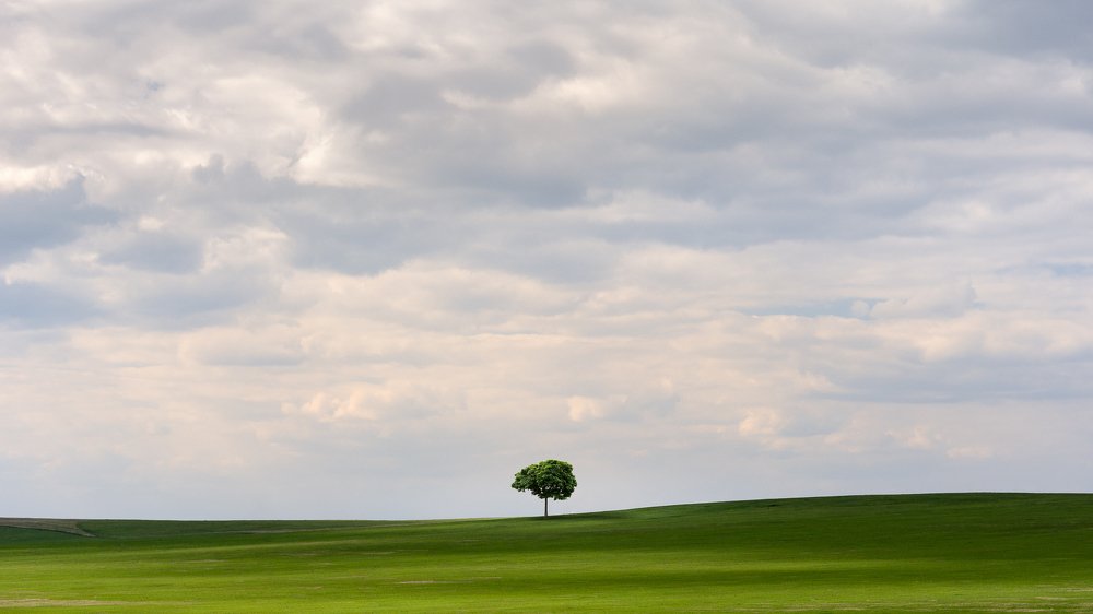 Фотография автора Евгений
