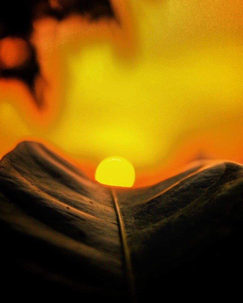 Photograph by Kushal P Shah