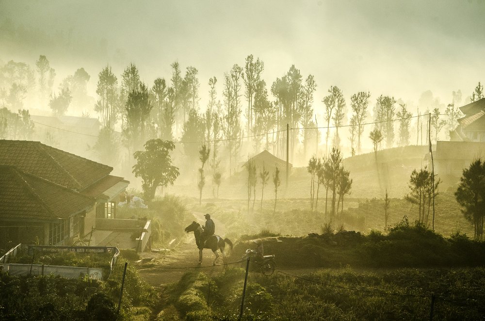 Photograph by Irsam Soetarto
