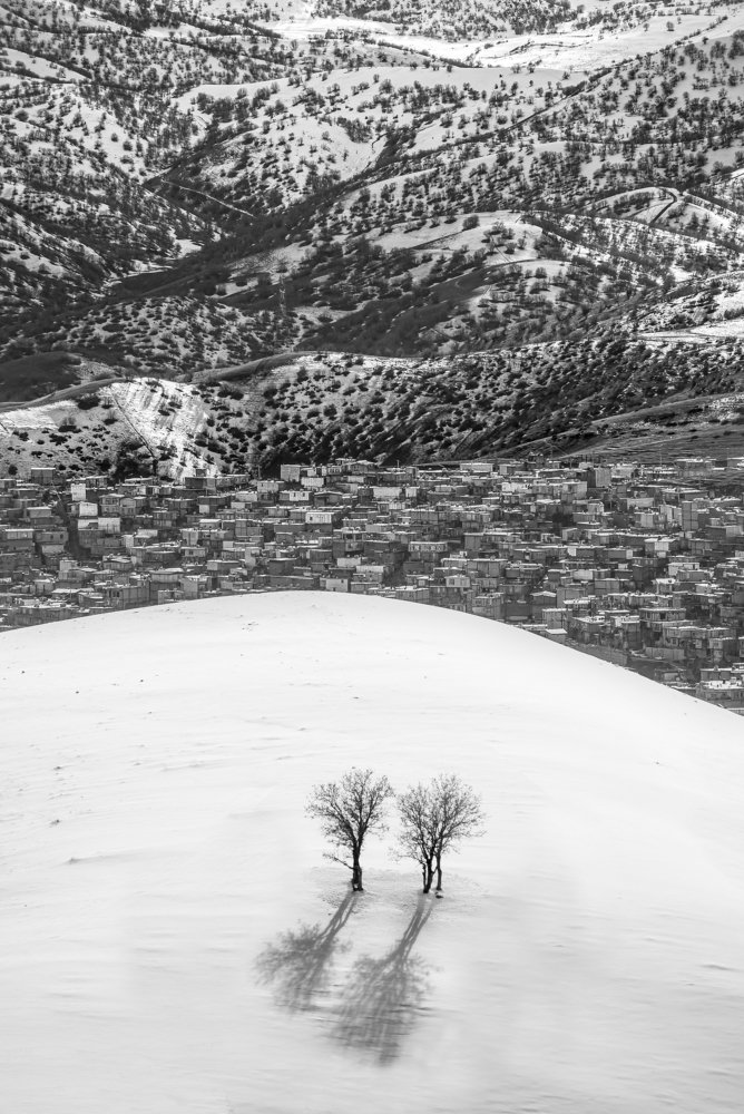 Photograph by Adl Abdolahi