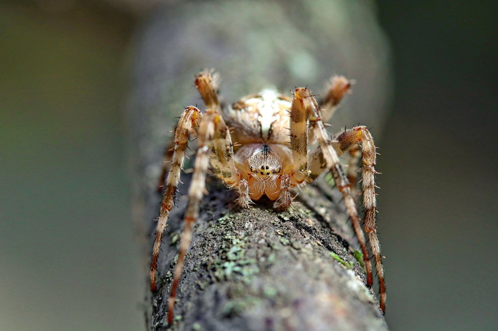 Photograph by Игорь Осипов