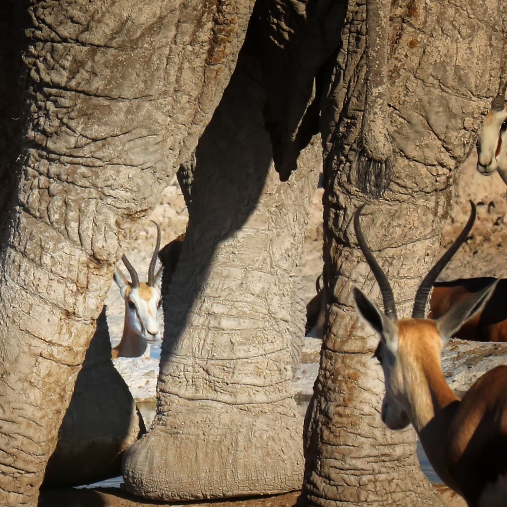 Photograph by Helen McLain