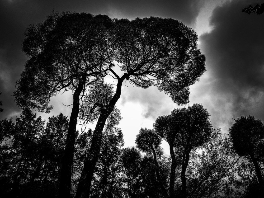Photograph by Ирина Князева