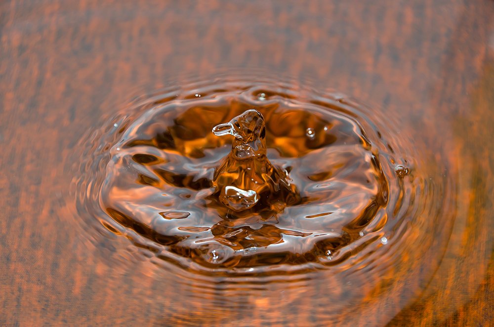 Photograph by Sahar Jafari