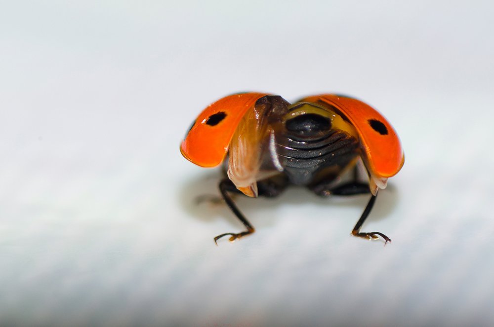 Photograph by Sahar Jafari