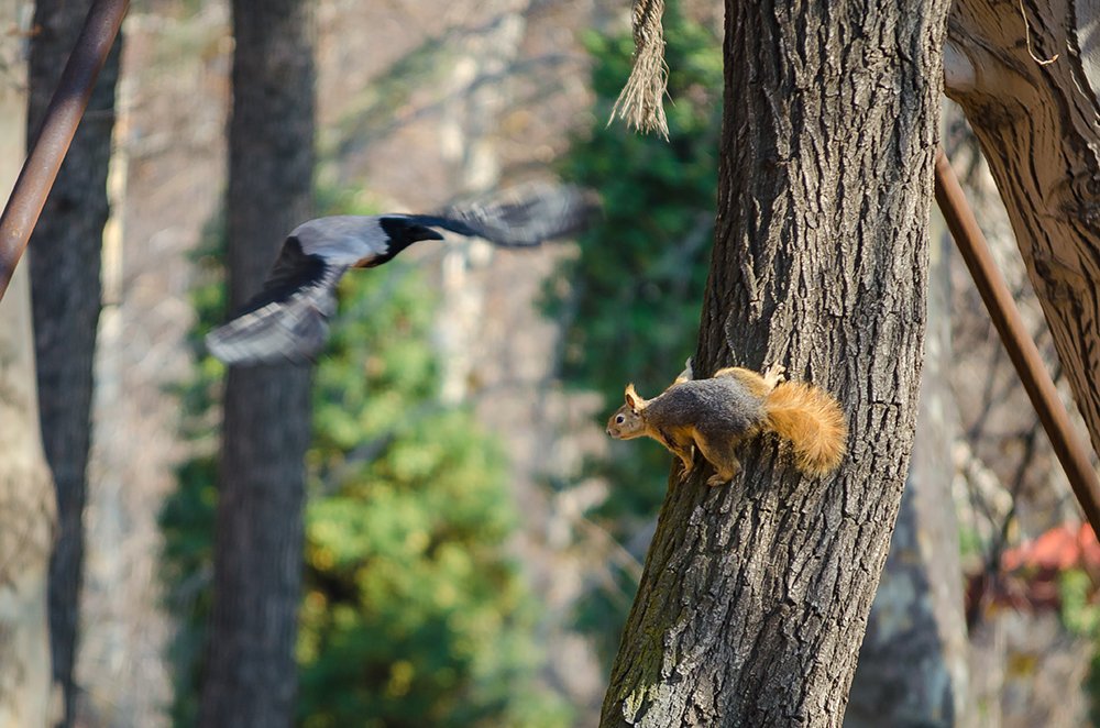 Photograph by Sahar Jafari