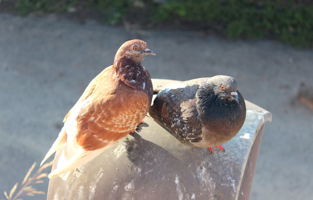 Photograph by Anastasia Kodatenko