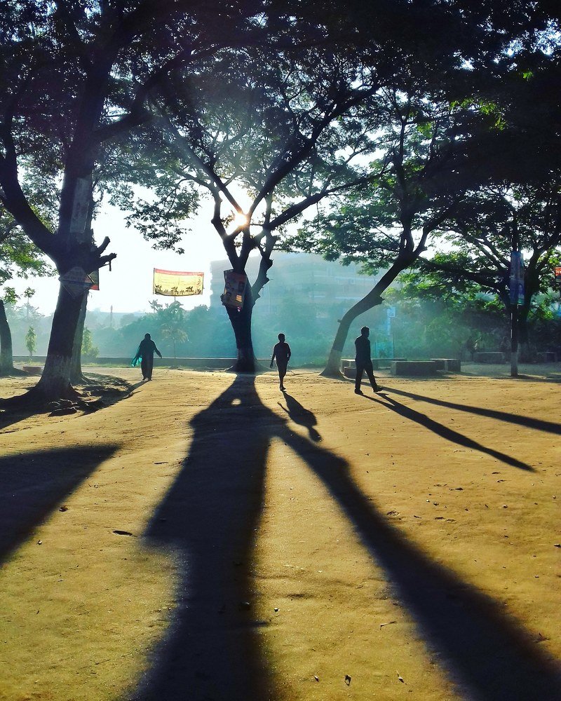 A winter morning