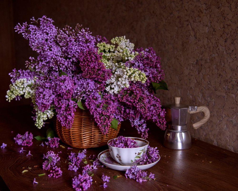 Photograph by Елена Вапняр