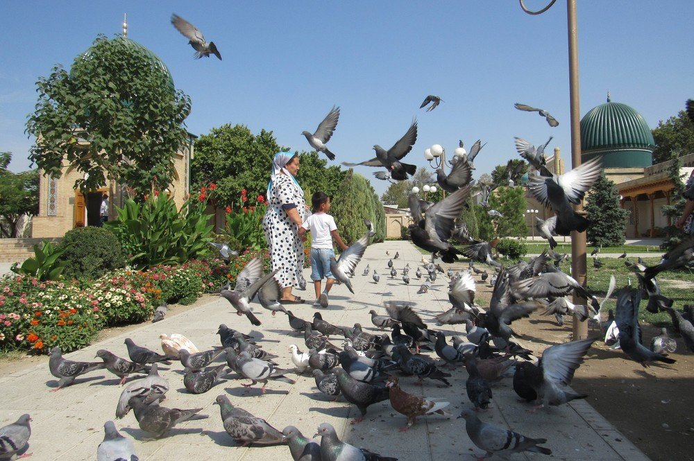 Photograph by Фотима Абдурахманова