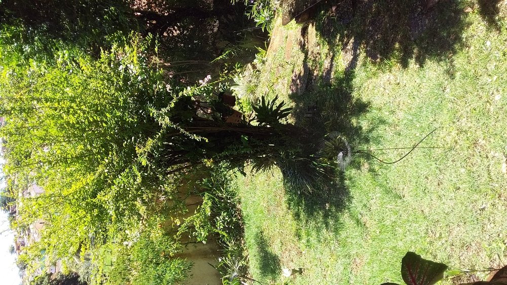 Photograph by Jorge Lima