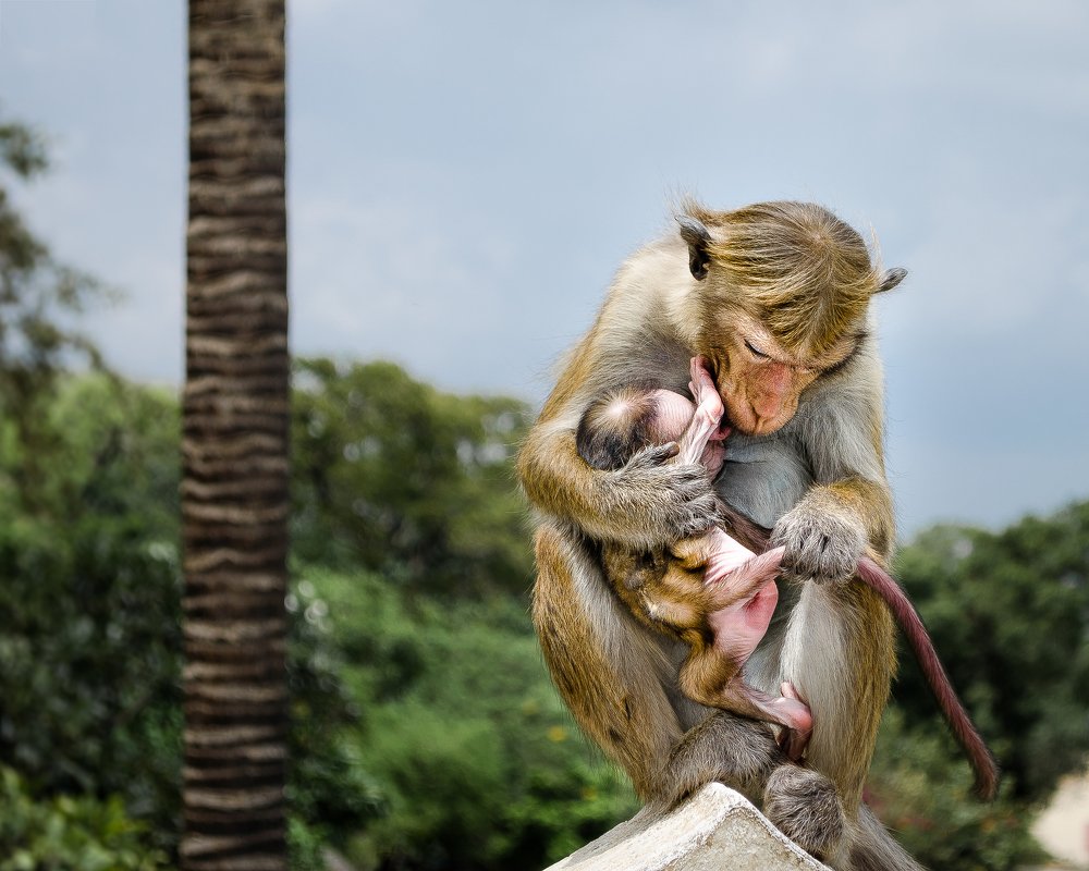 Что там, сынок?
