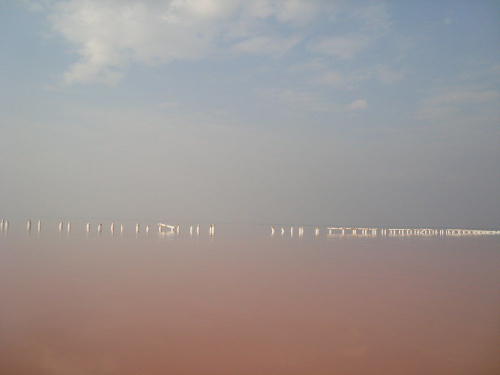 Photo #4152823
