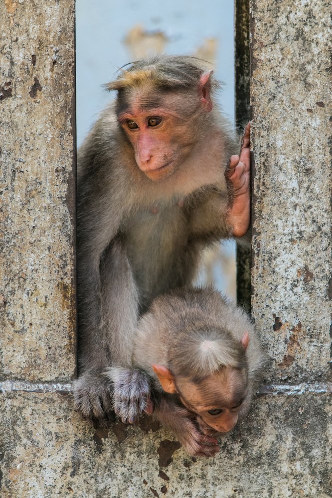 Photograph by Zinda Shaik Mohideen M