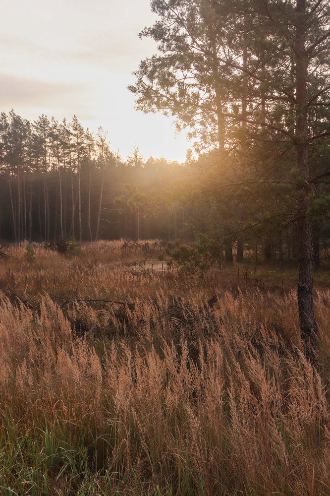Фотография автора Даниил Бабей