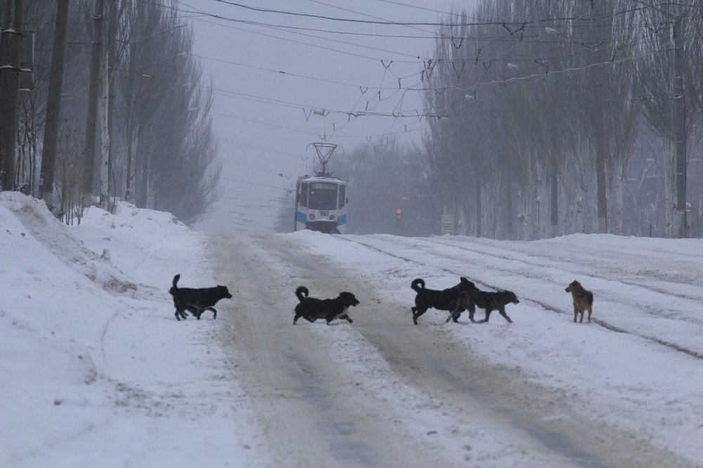 Photograph by Павел