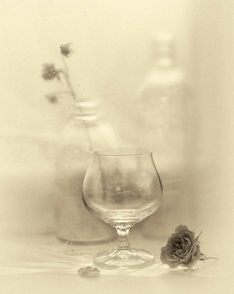 Photograph by Светлана Денисова