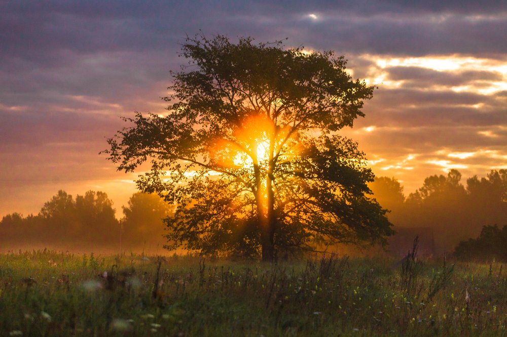 Фотография автора Сергей Ульихин