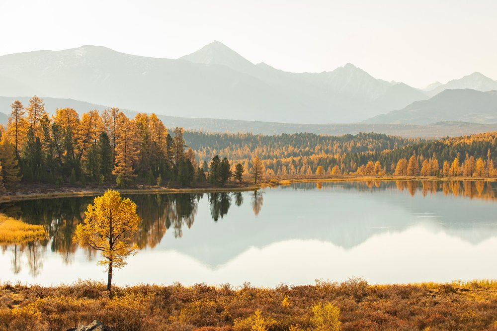 Photograph by Алексей Кустов