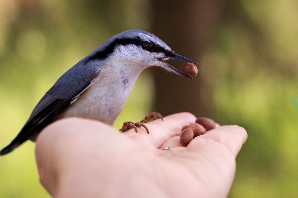 Photograph by ирина лебедева