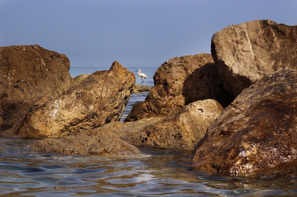 Photograph by ирина лебедева