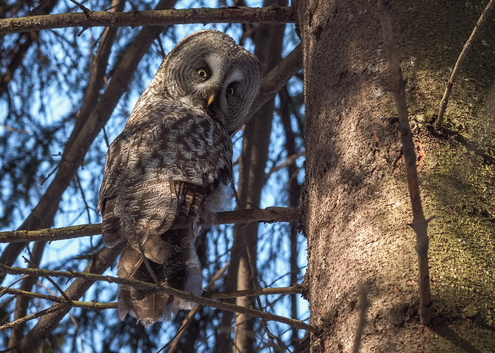 Я оглянулся посмотреть, не оглянулась ли она.
