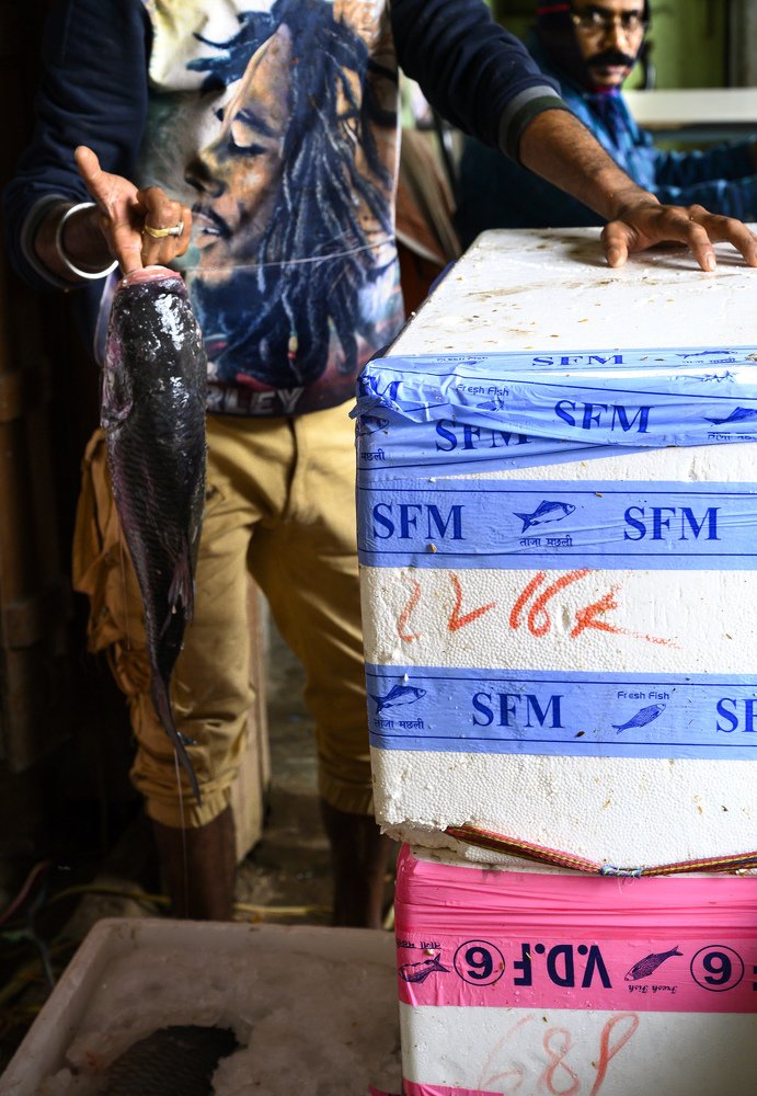 Photograph by PRASENJIT ROY