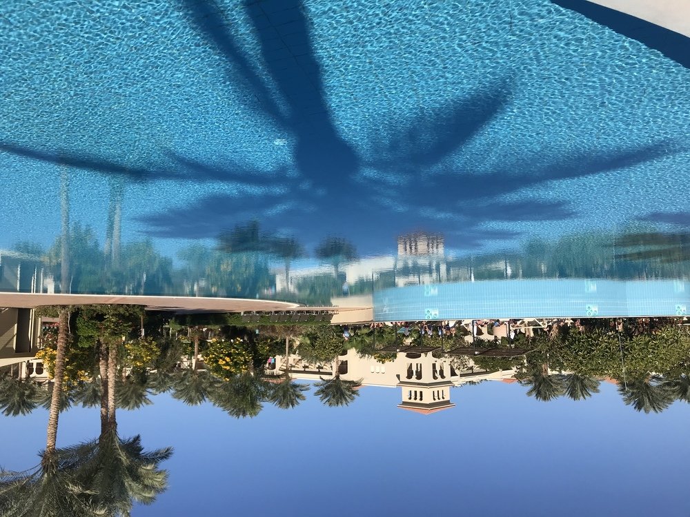 Photograph by Анар Амирова