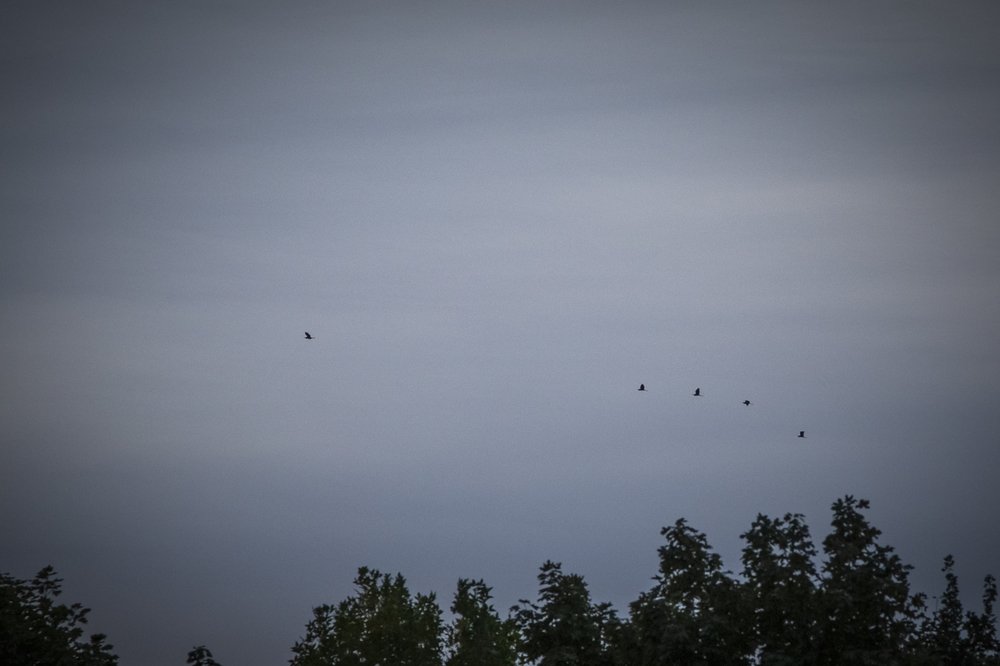 Photograph by Галина Полищук