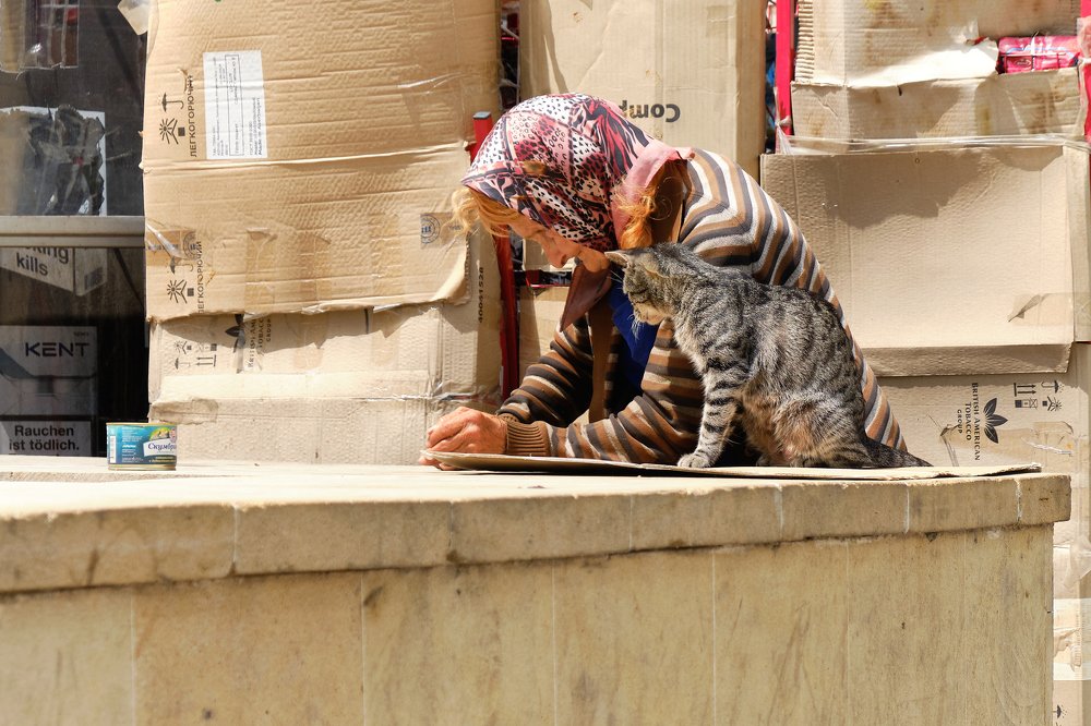 Photograph by Александр Фирстов