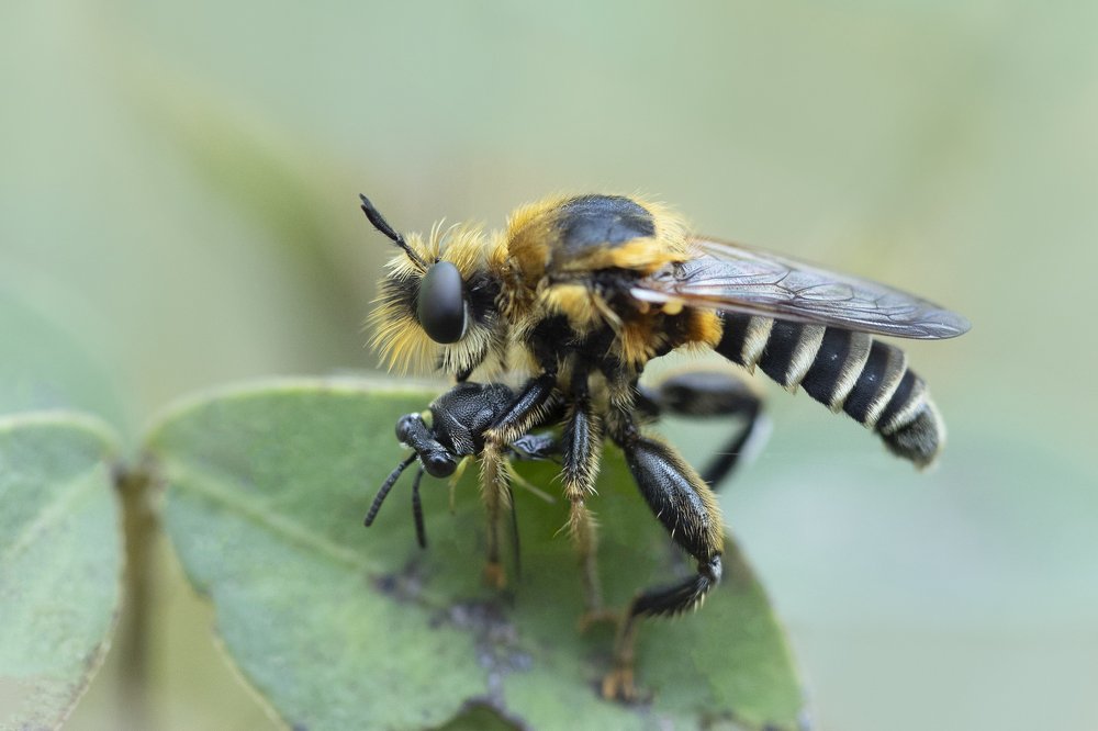 Photograph by Hemraj Chavhan A