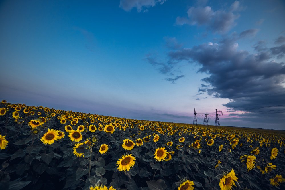 Photograph by Владимир Кузнецов