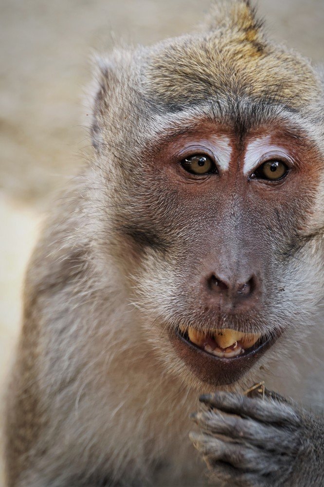 Photograph by Наталия Маслова