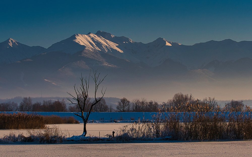 Photograph by Adrian Adi Gli