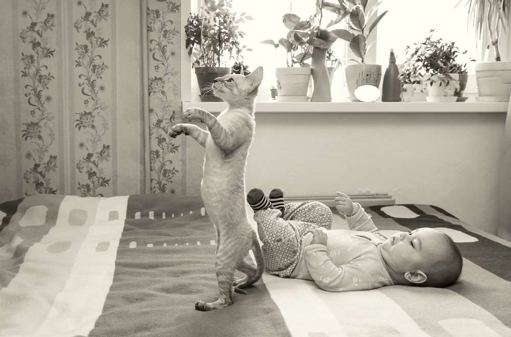 Учись ходить, малыш!