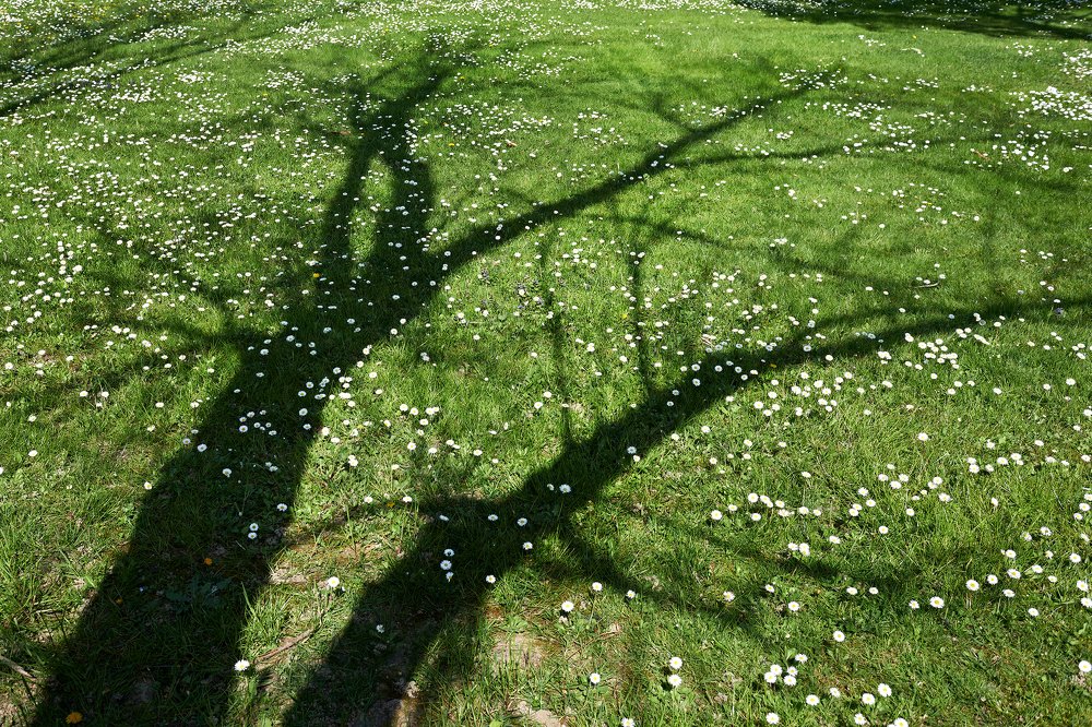 Photograph by Валерий