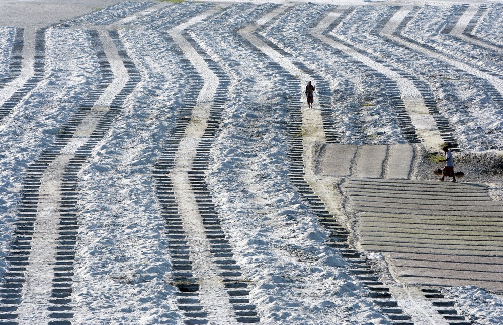 Making land to cultivable