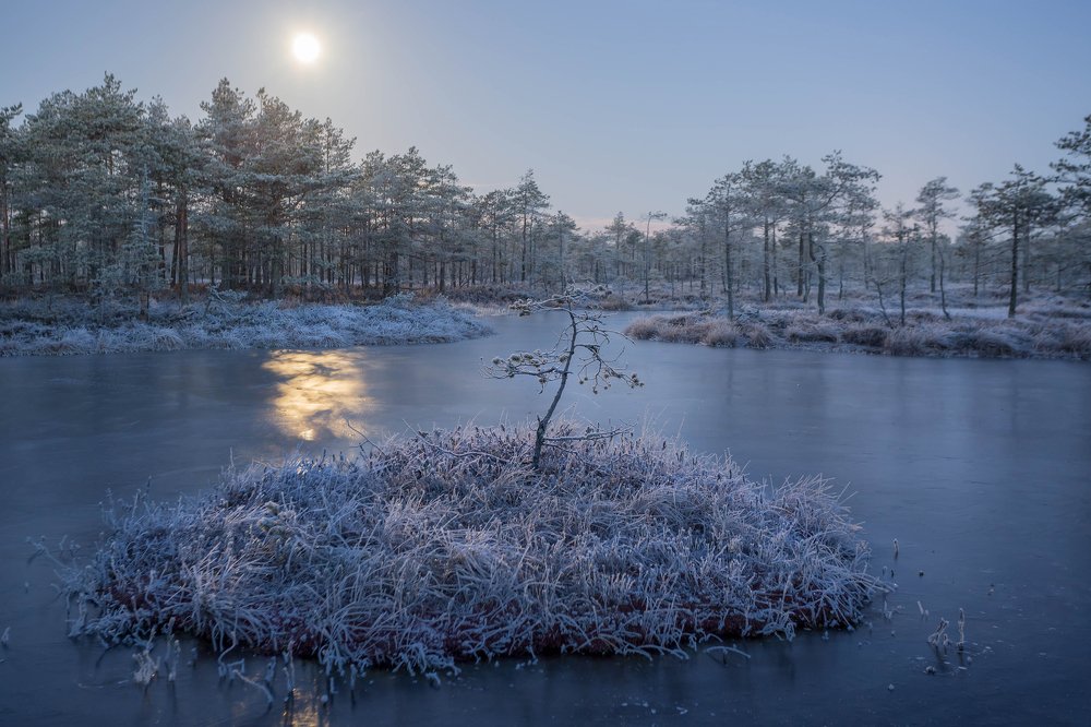 Photograph by Pavel Vaschenkov