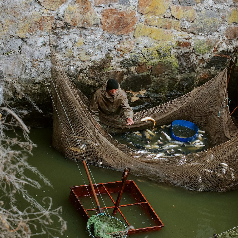 Photograph by Aeromast