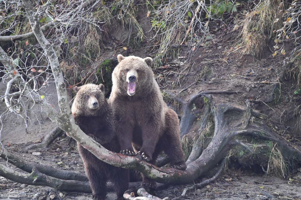 Photograph by Алексей Шаскольский