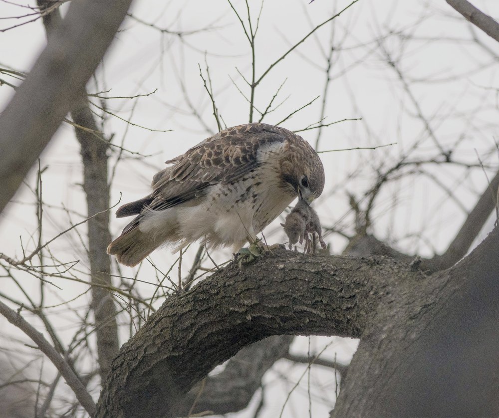 Photograph by MARCELO PRATES